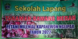 SEKOLAH LAPANG TANAMAN BAWANG MERAH PETANI MILENIAL KAPANEWON NGLIPAR TAHUN 2022